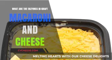 Mac and Cheese: Enzymes and Their Functions