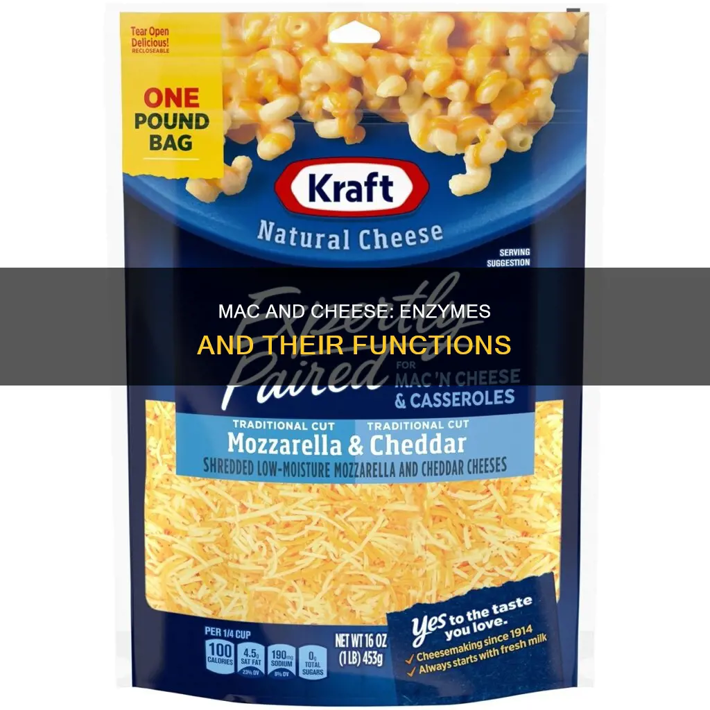 what are the enzymes in kraft macaroni and cheese