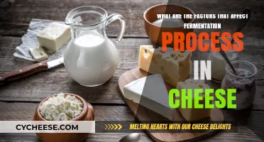 Key Factors Influencing Fermentation in Cheese Production Explained