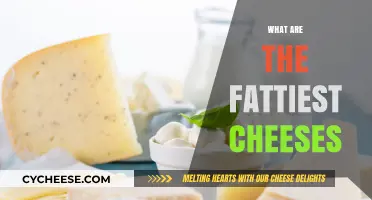 Top Rich and Creamy Cheeses with the Highest Fat Content