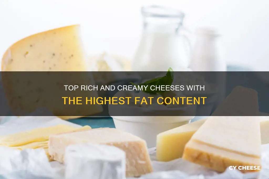 what are the fattiest cheeses