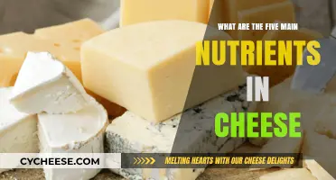 Essential Nutrients in Cheese: Unveiling the Top Five Benefits