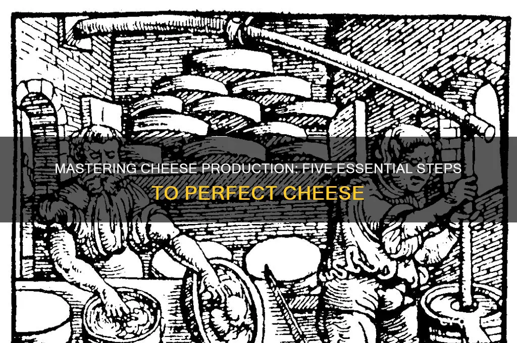 what are the five steps of cheese production