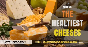 Nutritious Cheese Choices: Discover the Healthiest Options for Your Diet