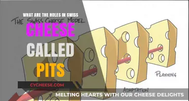 Swiss Cheese Pits: The Mystery of Hole Formation