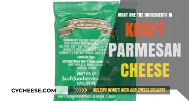 Parmesan Cheese Ingredients: Kraft's Secret Recipe