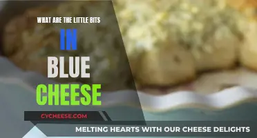 The Mystery of Blue Cheese's Veins Revealed