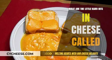Unraveling the Mystery: What Are Those Tiny Hard Bits in Cheese?