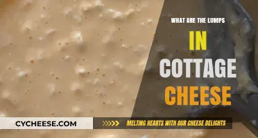 Understanding the Lumpy Texture in Cottage Cheese: Causes and Facts