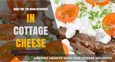 Cottage Cheese Nutrition: Key Nutrients and Health Benefits Explained