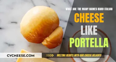 Italian Hard Cheeses: Exploring Names and Varieties