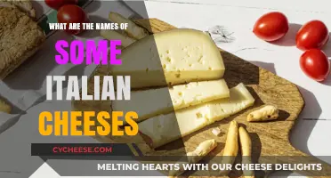Discover the Rich Flavors of Italy's Most Famous Cheeses