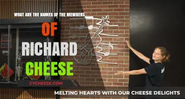 Meet the Talented Members of Richard Cheese: Names and Roles