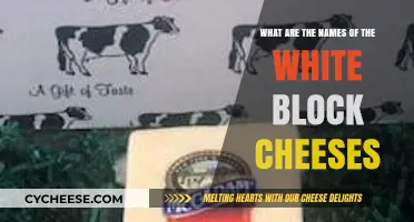 Exploring the Names of Popular White Block Cheeses: A Tasty Guide