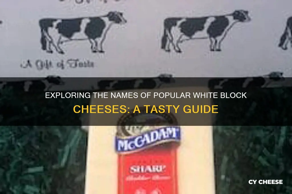 what are the names of the white block cheeses