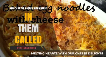 Discover the Cheesy Delight: Noodles with Cheese Name Revealed