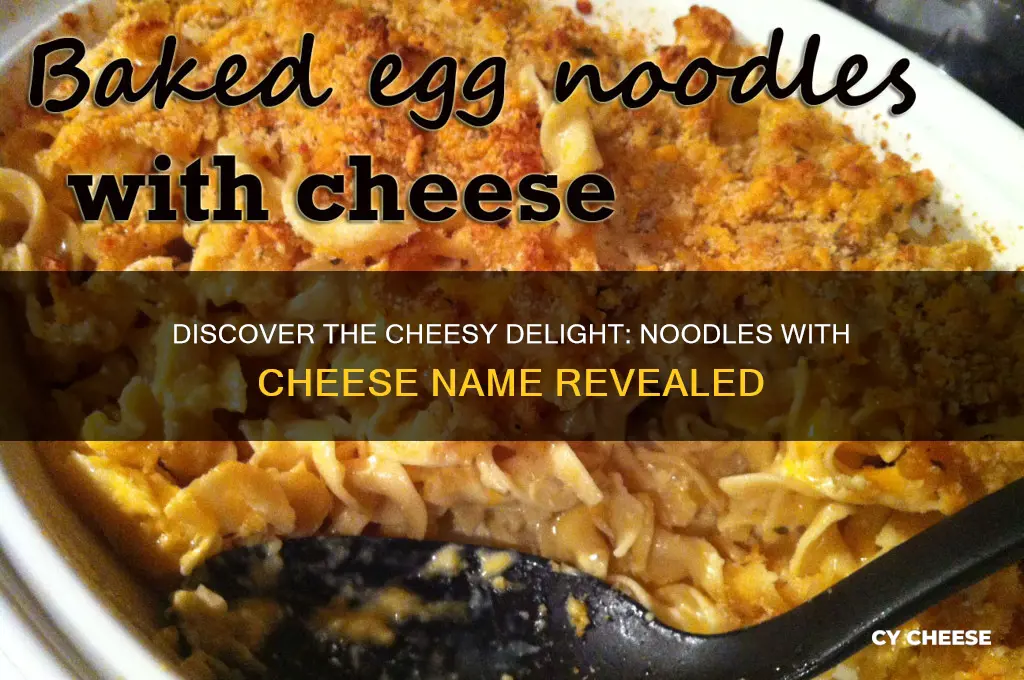 what are the noodes with cheese in them called