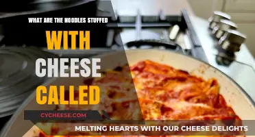Cheesy Delight: Exploring the Name of Cheese-Stuffed Noodles