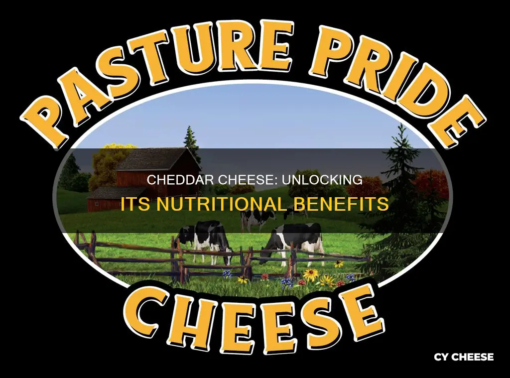 what are the nutrients in cheddar cheese