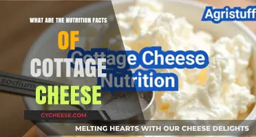 Cottage Cheese Nutrition: Calories, Protein, and Health Benefits Explained