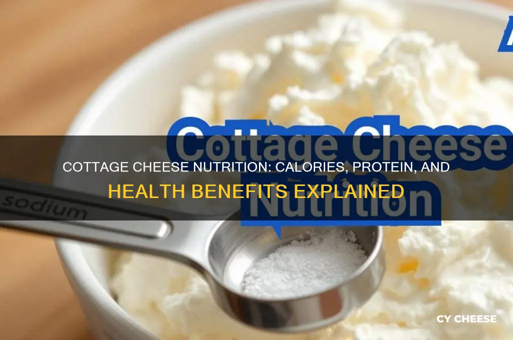 what are the nutrition facts of cottage cheese