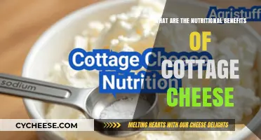 Cottage Cheese Nutrition: Unlocking Health Benefits and Dietary Value