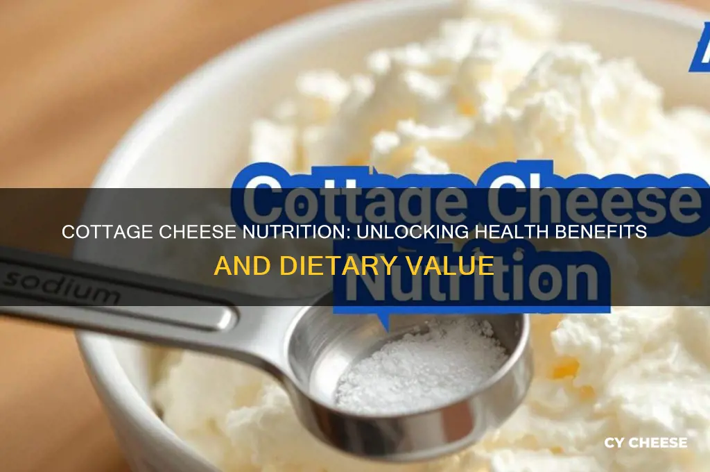 what are the nutritional benefits of cottage cheese