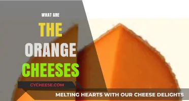Exploring the World of Orange Cheeses: Types, Flavors, and Uses