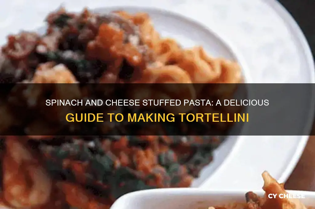 what are the pasta things stuffed with spinach and cheese