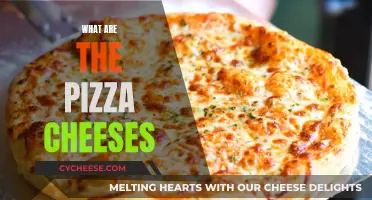 Cheese Secrets Behind the Perfect Pizza