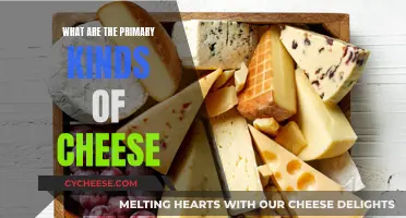 Cheese Varieties: Primary Kinds to Know and Love