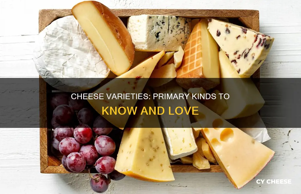 what are the primary kinds of cheese