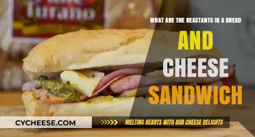 Bread and Cheese Sandwich: Uncovering the Key Reactants in This Classic Combo