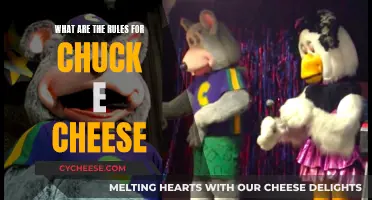 Chuck E. Cheese: Rules for a Fun-Filled Experience