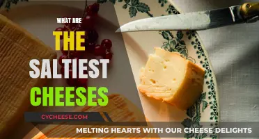 Discover the Tangy Truth: World's Saltiest Cheeses Unveiled