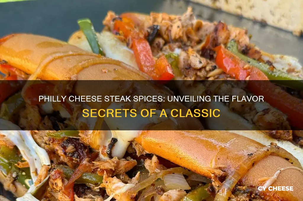 what are the spices in a philly cheese steak