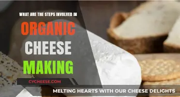 Mastering Organic Cheese Making: Essential Steps for Artisan Craftsmanship