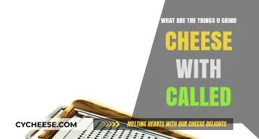 Essential Cheese Grinding Tools: What Are They Called and How to Use Them