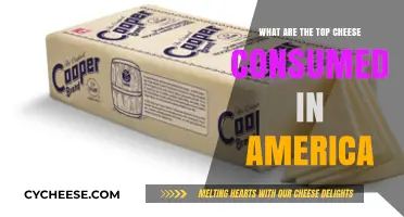 America's Favorite Cheeses: Top Varieties Dominating US Consumption