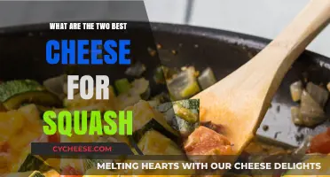 Cheese and Squash: The Perfect Pairing