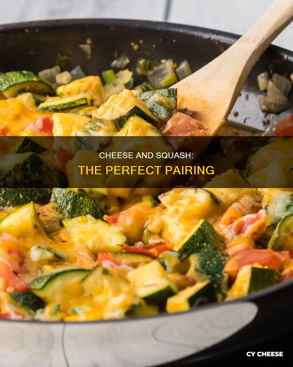 what are the two best cheese for squash