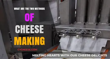 Mastering Cheese Making: Exploring Acid and Rennet Coagulation Techniques