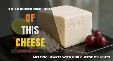 Exploring the Distinct Flavors and Textures of This Cheese