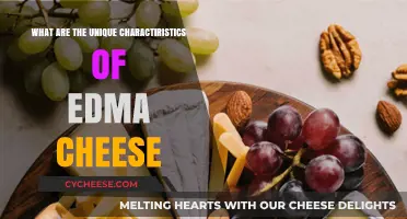 Exploring Edma Cheese: Unique Texture, Flavor, and Production Secrets
