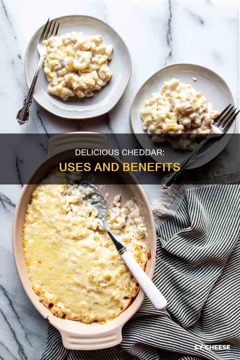 what are the uses of cheddar cheese