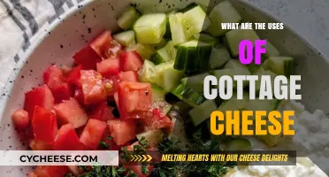 Discover the Versatile Uses of Cottage Cheese in Cooking and Beyond