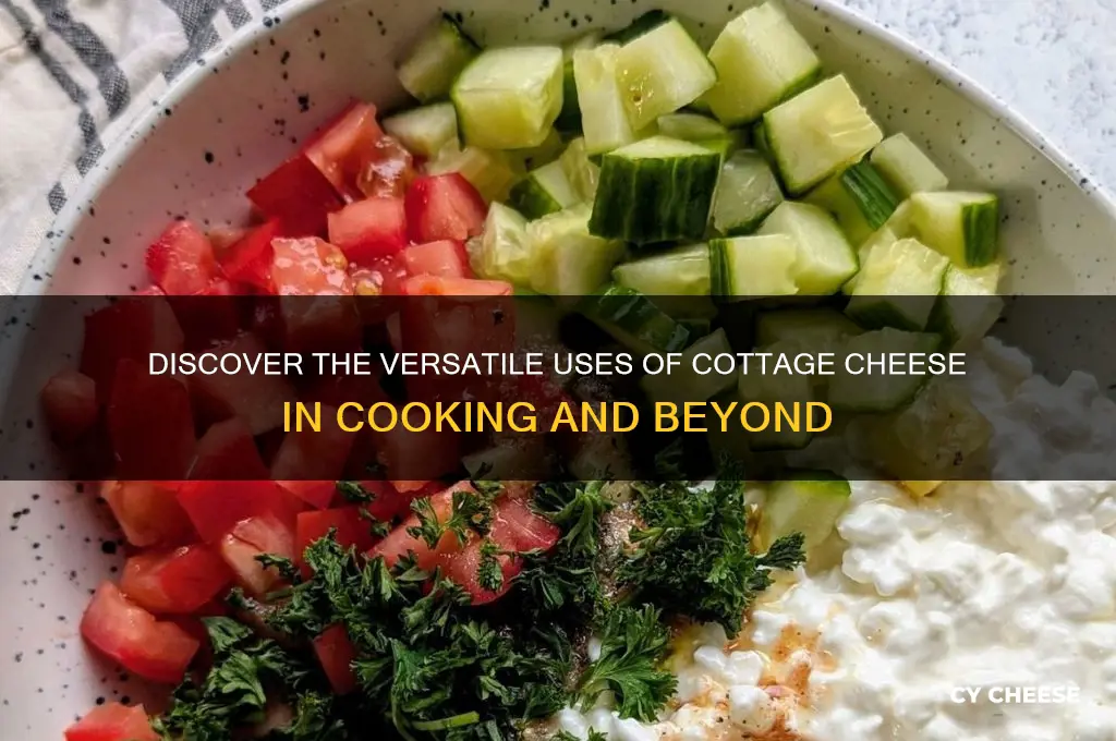 what are the uses of cottage cheese