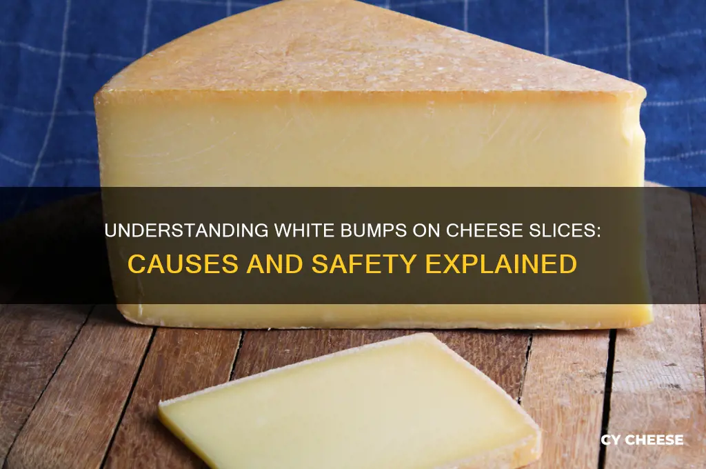 what are the white bumps on my slices of cheese