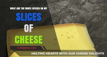 Unveiling the Mystery: What Are Those White Specks on Cheese?