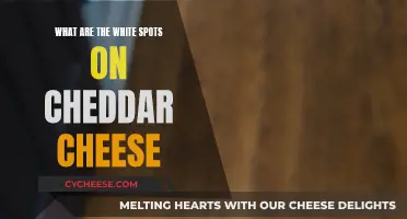 Unveiling the Mystery: Why Cheddar Cheese Has White Spots